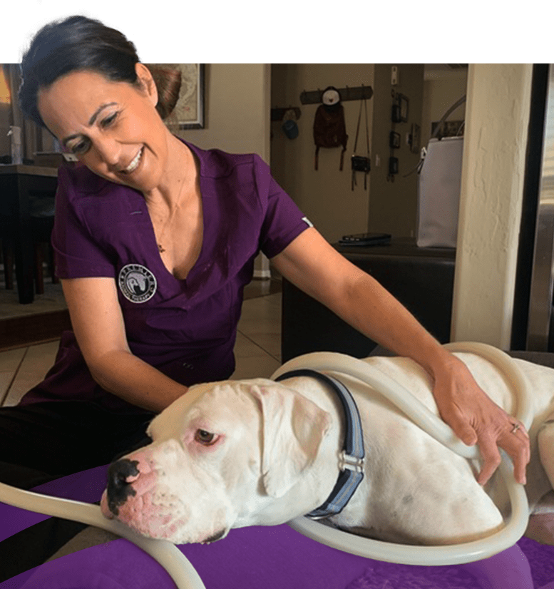 Premier Animal Therapy